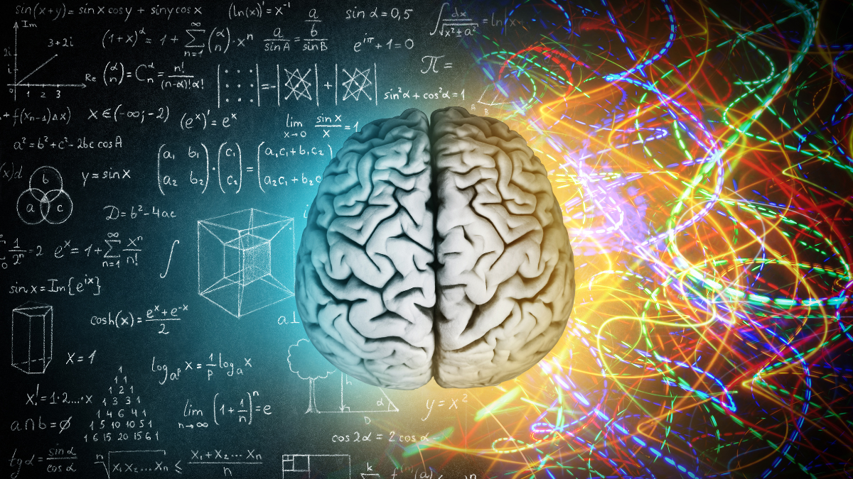Neurosciences éducatives 2